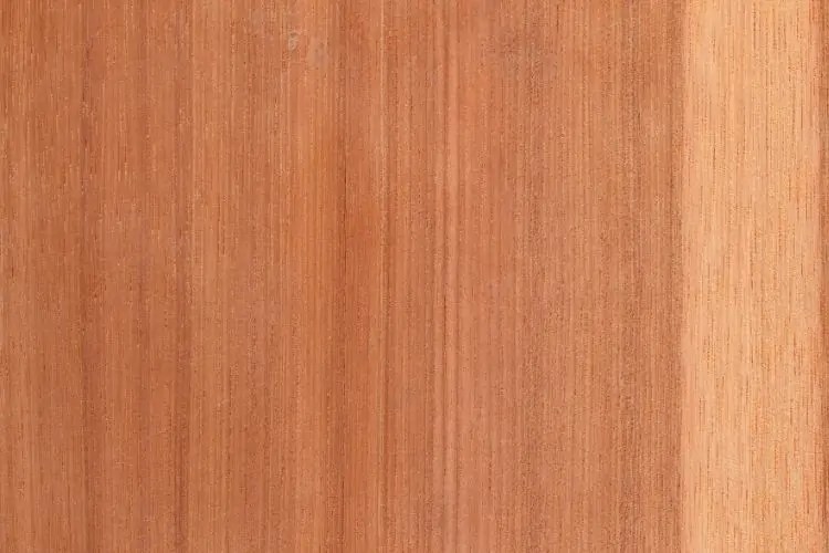 Lumber Guide Pignut Hickory Wood Uses The Forestry Pros