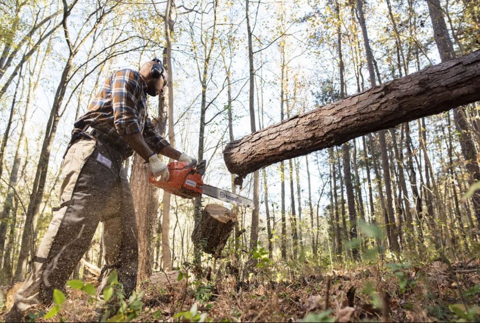 Best 24 Inch Chainsaw Options Guide: Which Is Right For You? - The