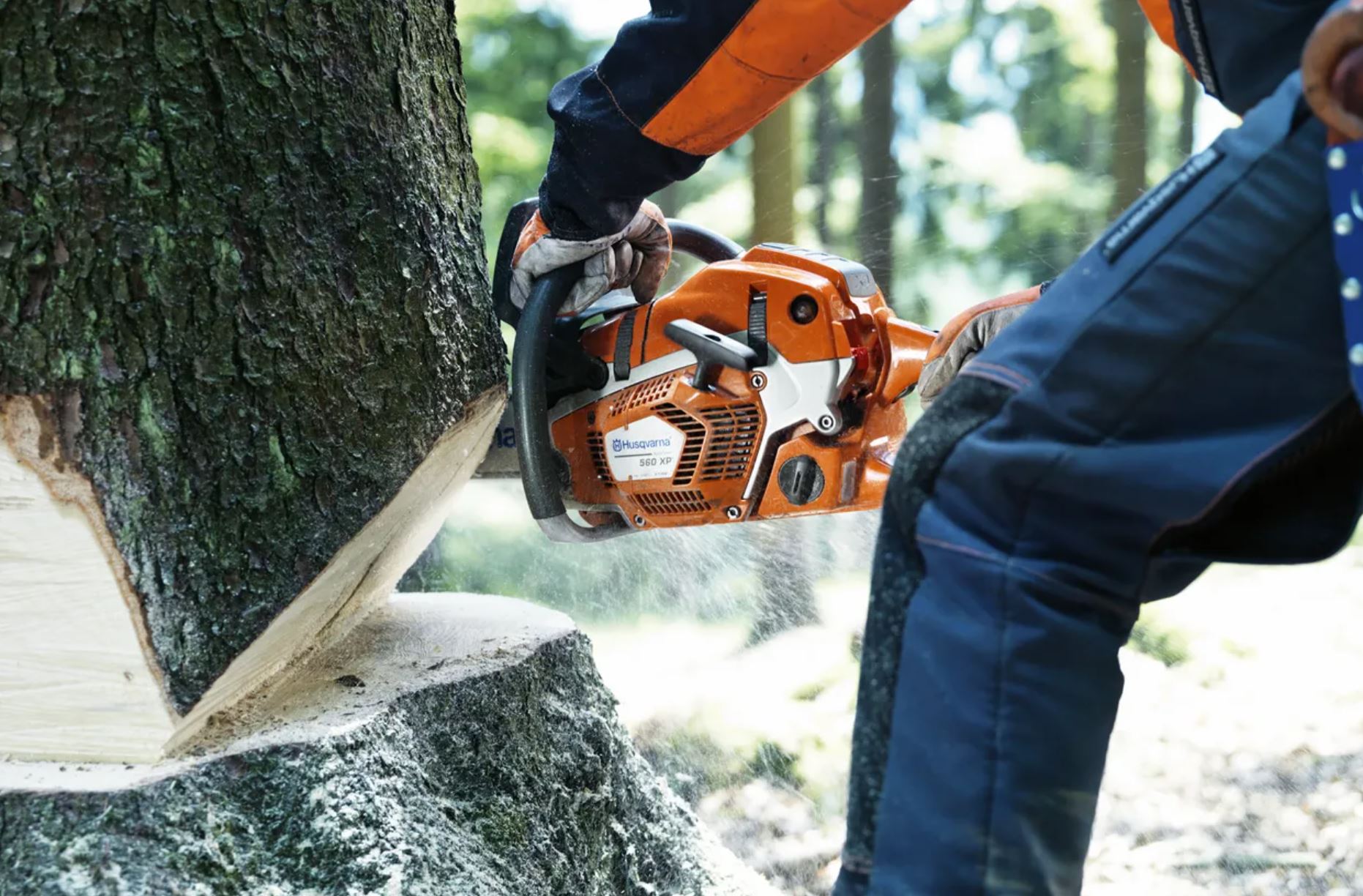Best 24 Inch Chainsaw Options Guide: Which Is Right For You? - The
