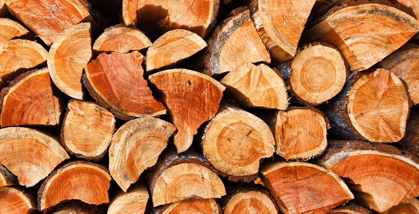 Hackberry Wood Uses The Forestry Pros