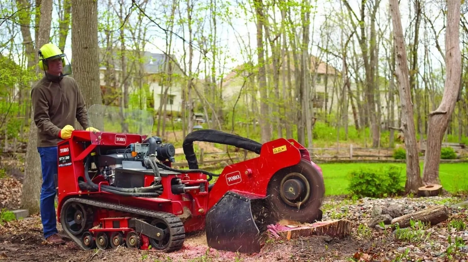 Best Stump Grinder Replacement Teeth The Forestry Pros