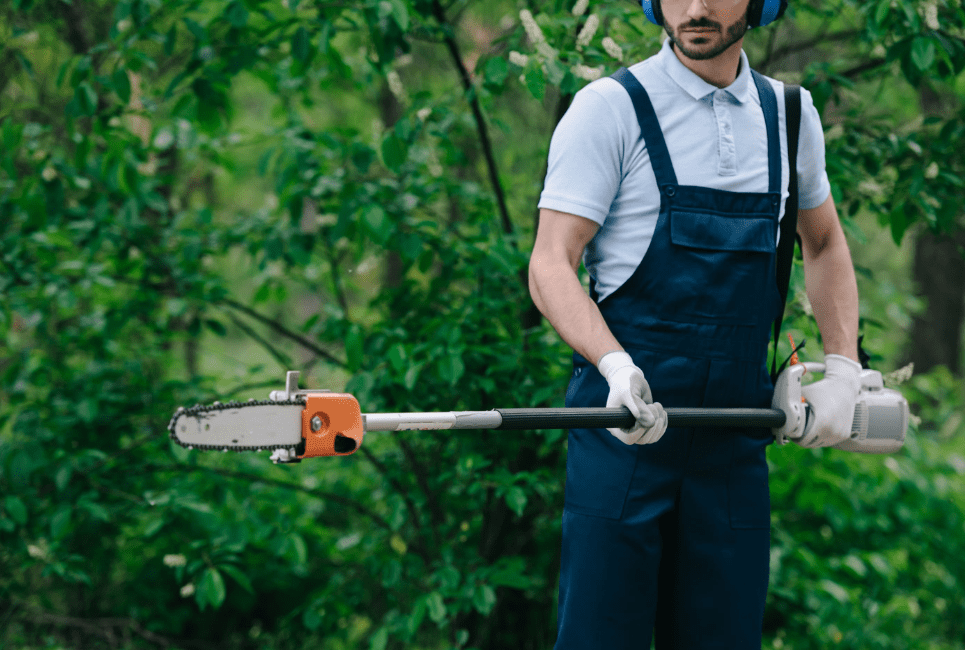 Pole Saw Rental Options Guide Why Big Box Stores Are Your Best Choice