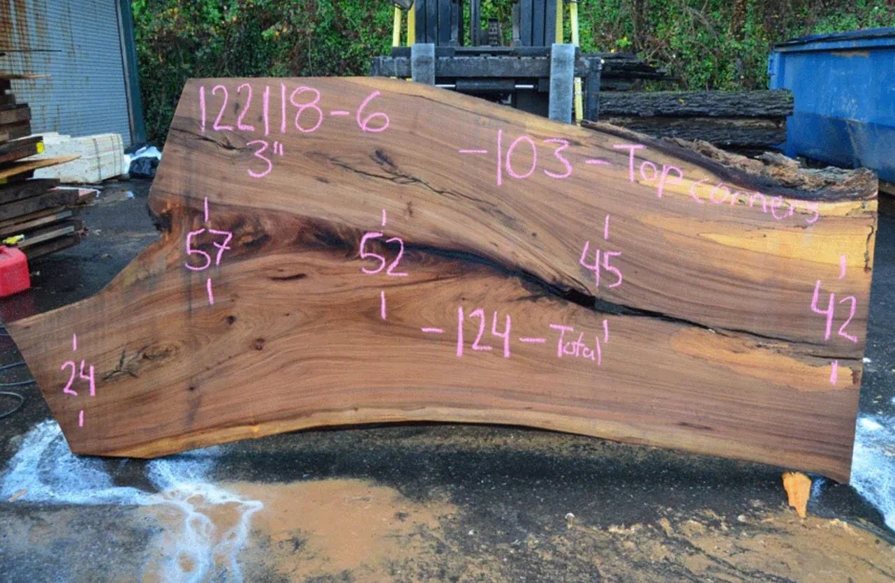 Elm Wood Uses Guide Exploring Its Versatile Properties The Forestry Pros