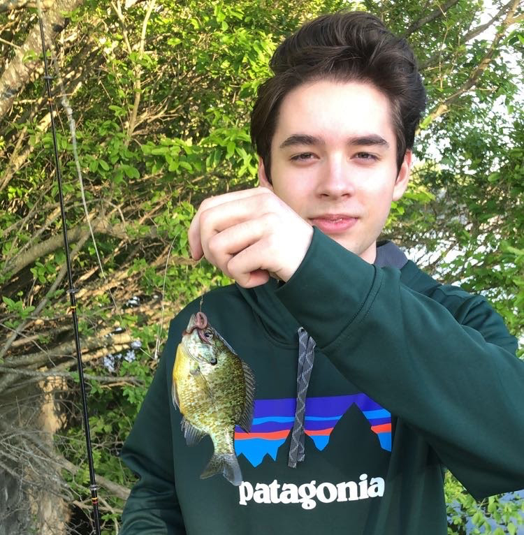 The Forest Scout Dominic Belmonte