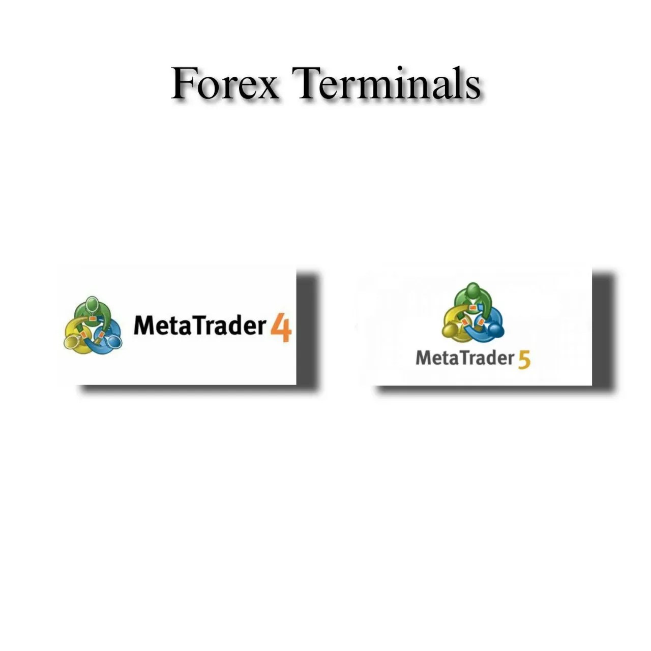 Forex Bucket Shop The Forex Geek