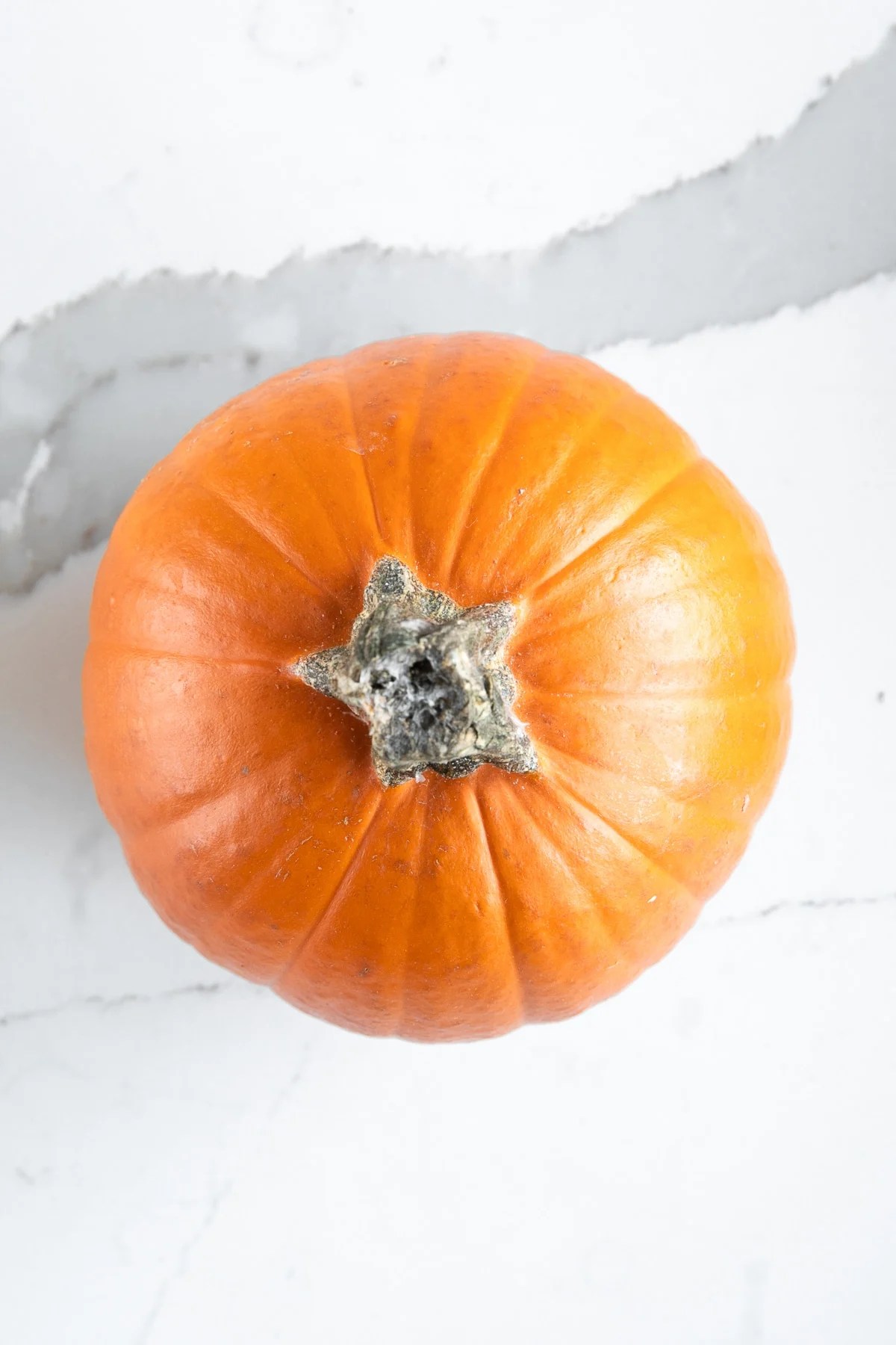 How to Cook Pumpkin A StepbyStep Guide The Forked Spoon