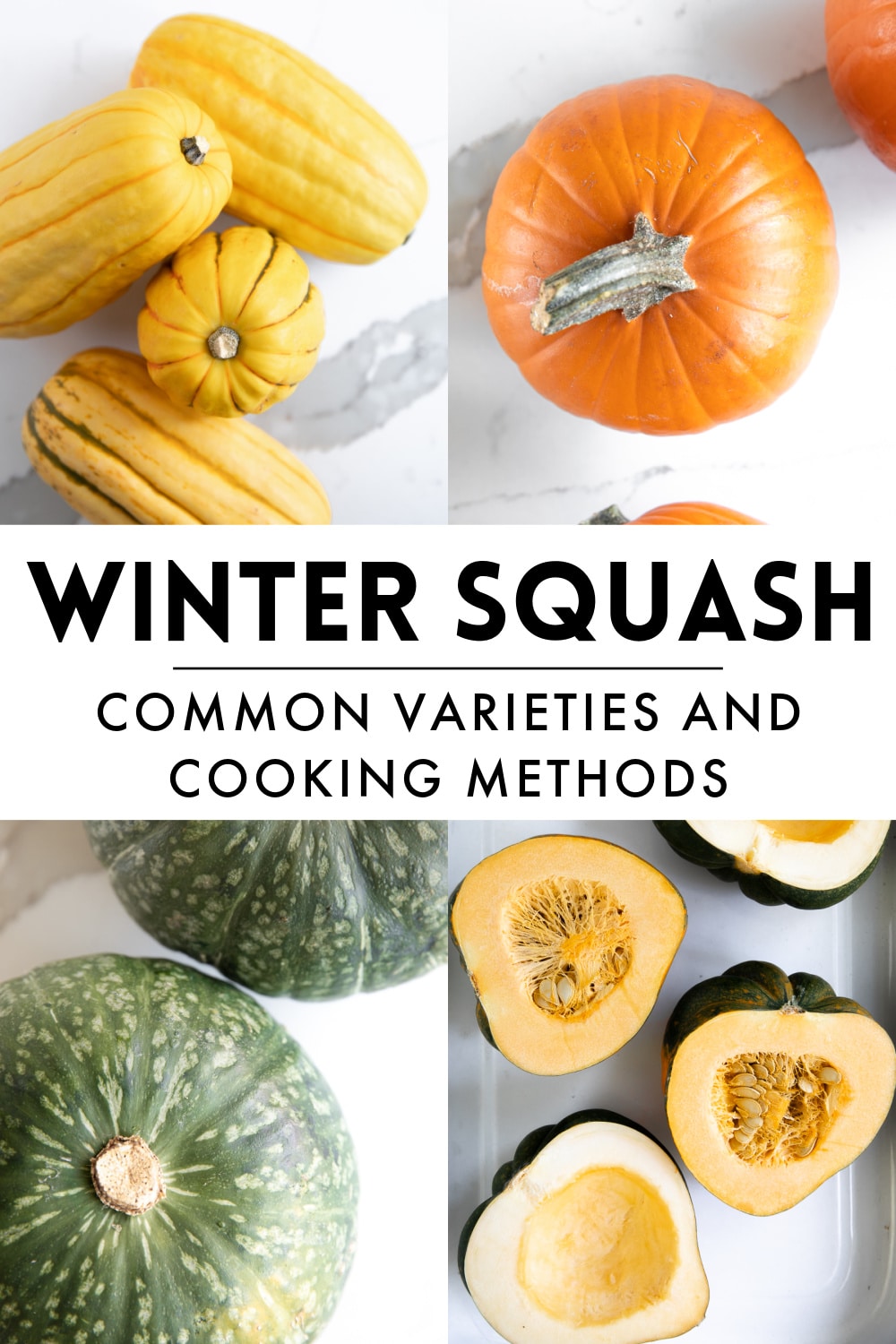Types of Winter Squash A Guide to Winter Squash Varieties and Cooking