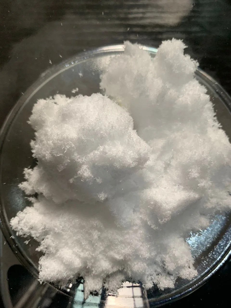 Urea The Formulator Shop skin barrier protector