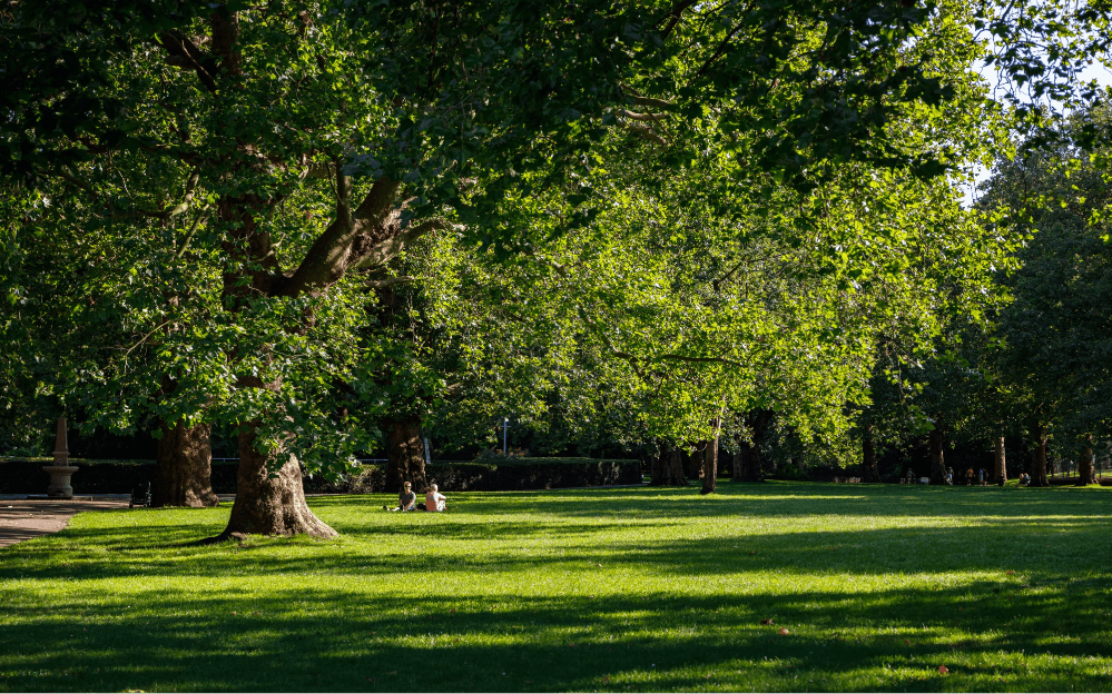 New OpenPlan Apartments For Sale in Canada Water The Founding, London