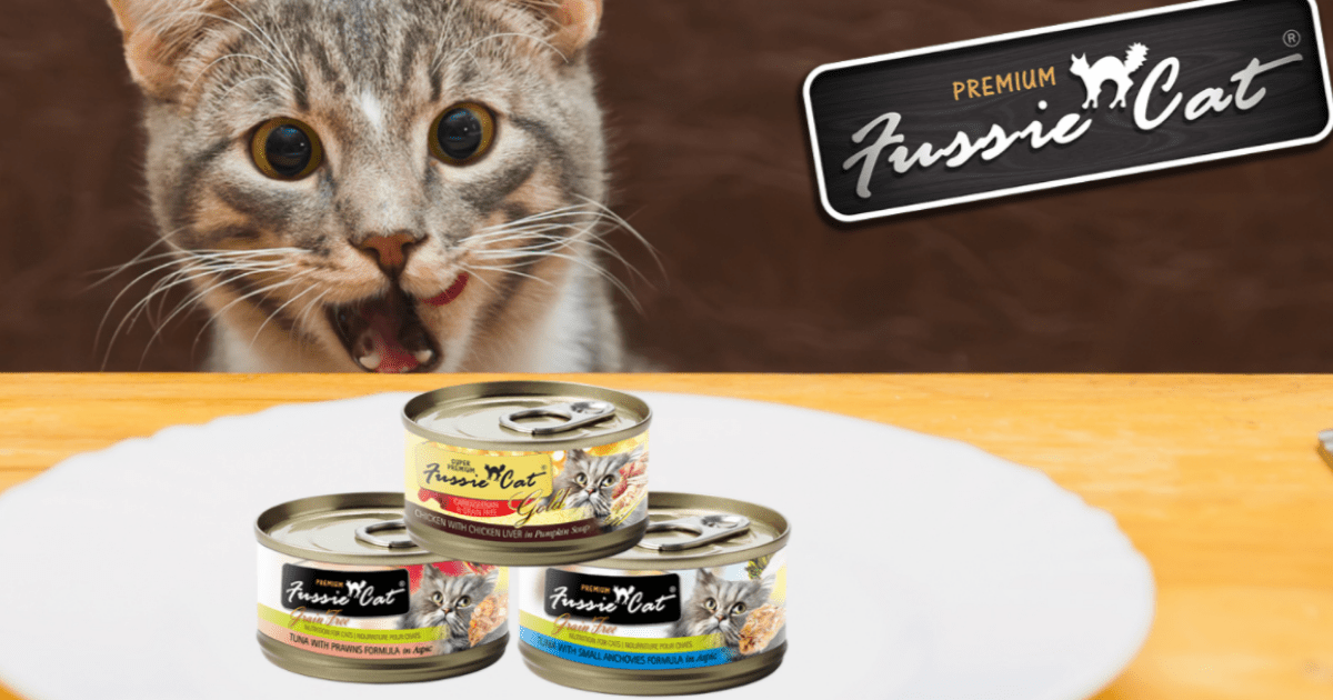 2 FREE Cans of Fussie Cat (Coupon Offer) The Freebie Guy® ️️️