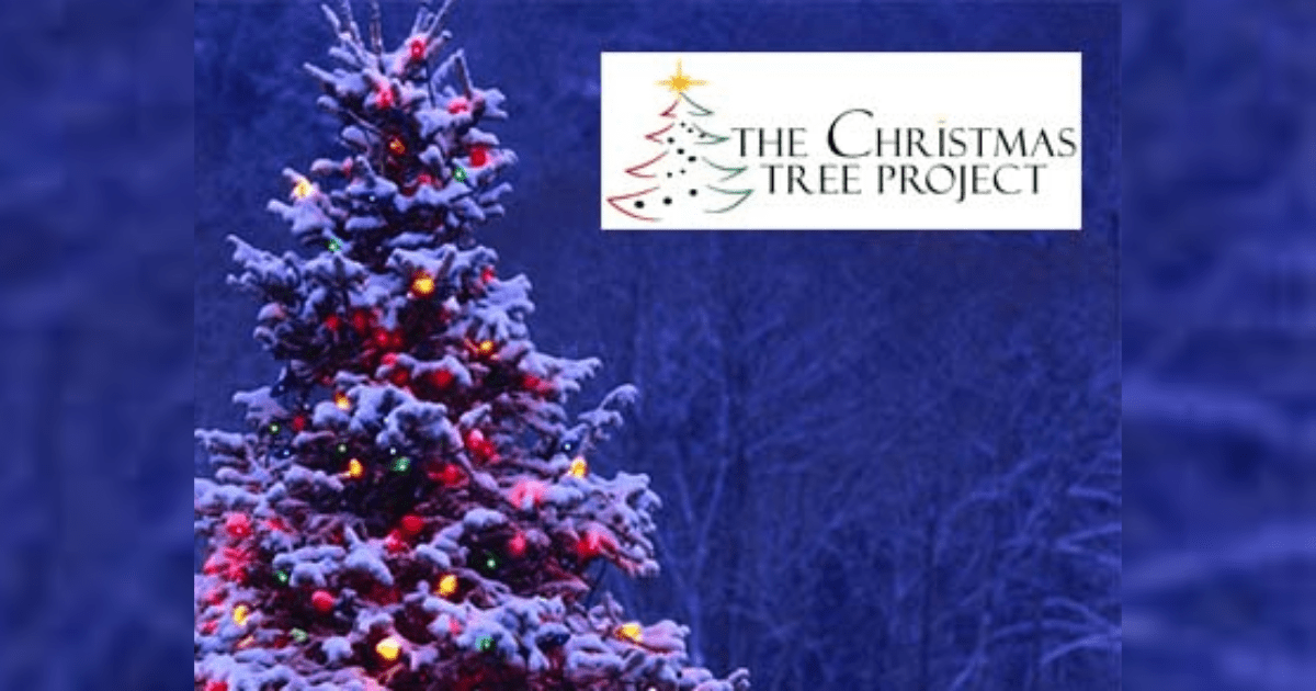 Possible Free Christmas Tree with The Christmas Tree Project The