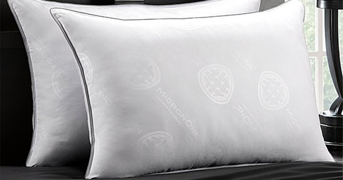 ZULILY PILLOW 2 PACKS ONLY 19.99! The Freebie Guy® ️️️