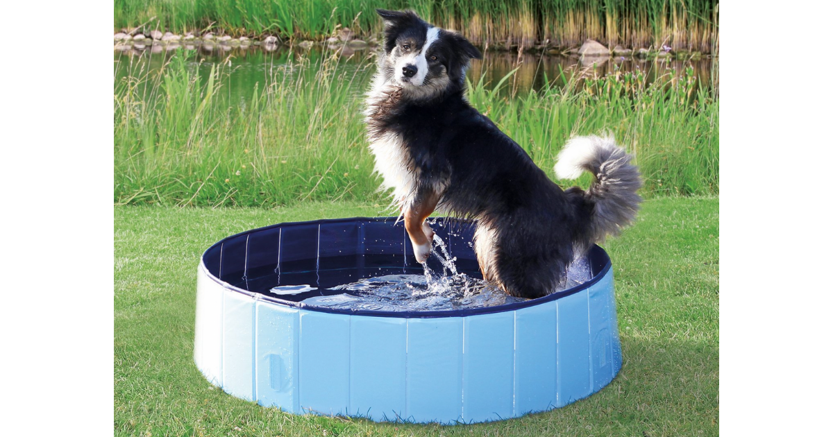 CHEWY TRIXIE PORTABLE DOG SPLASH POOL The Freebie Guy®