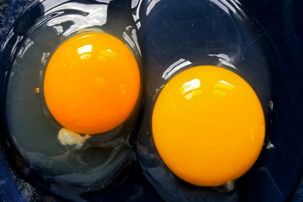 Duck Eggs vs Chicken Eggs What's the Difference The Free Range Life