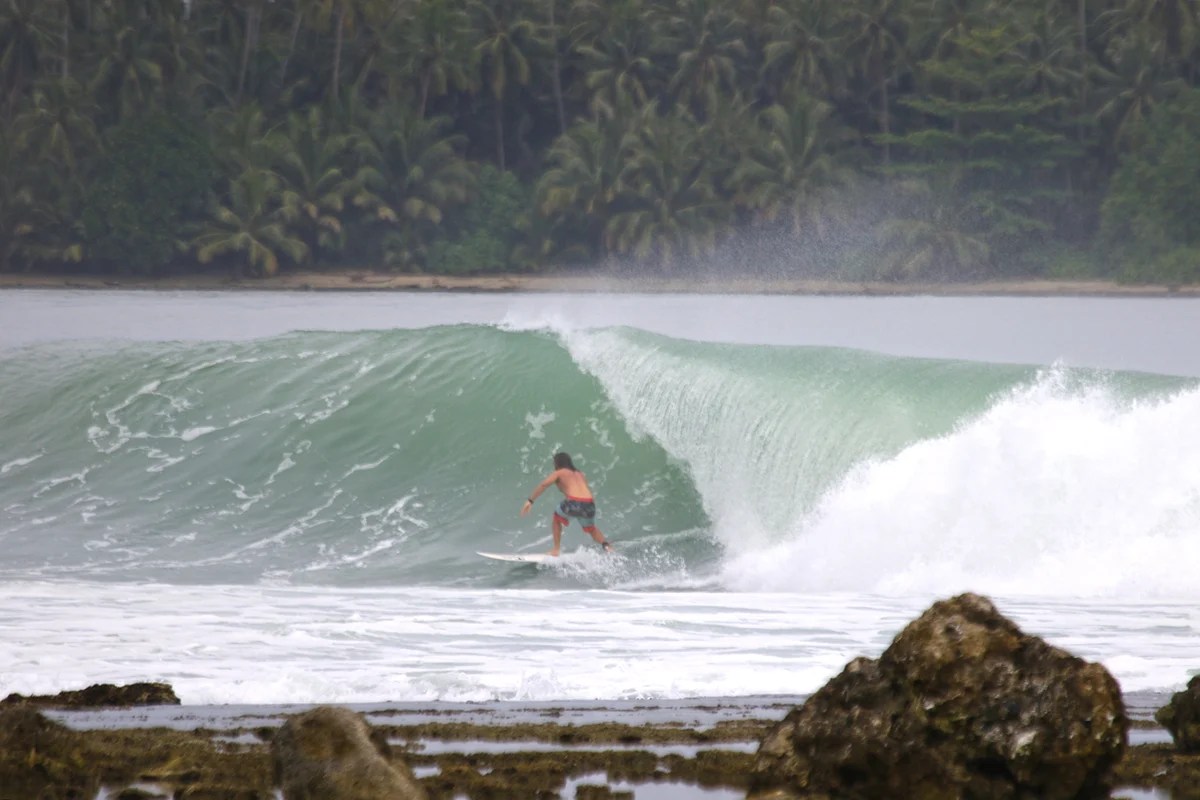 One board quiver Which board is the perfect goto board for you