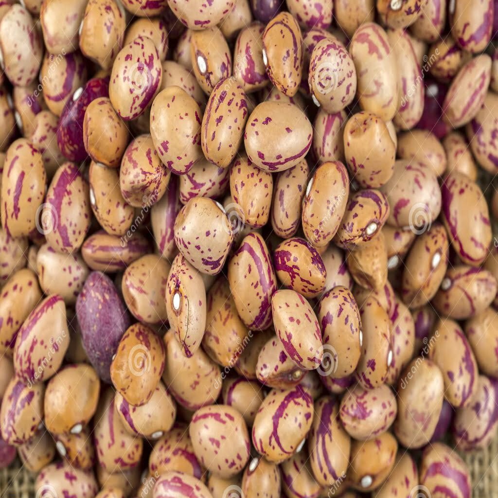 Romano Beans Organic The French Raw Chef