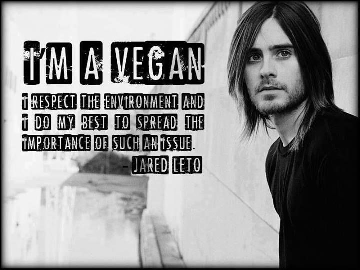 12 MORE Celebrities Who Are Vegan & Vegetarian The Friendly Fig