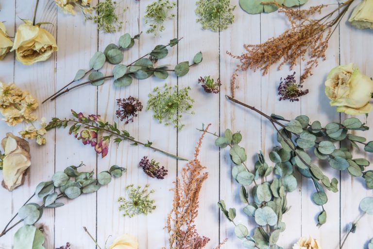 Unexpected Flowers Vancouver Trends Dried Flowers