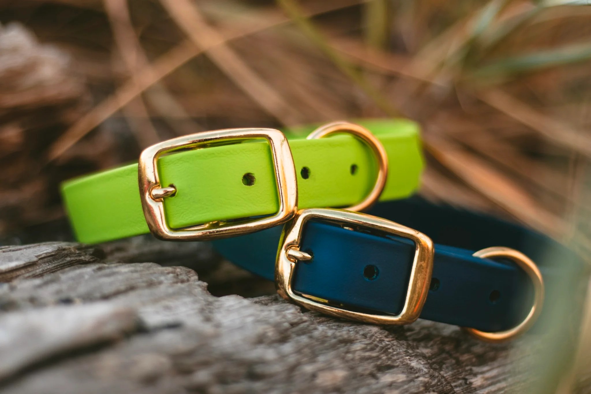 Complete Guide to Selecting the Perfect Dog Collar, Harness, and Lead