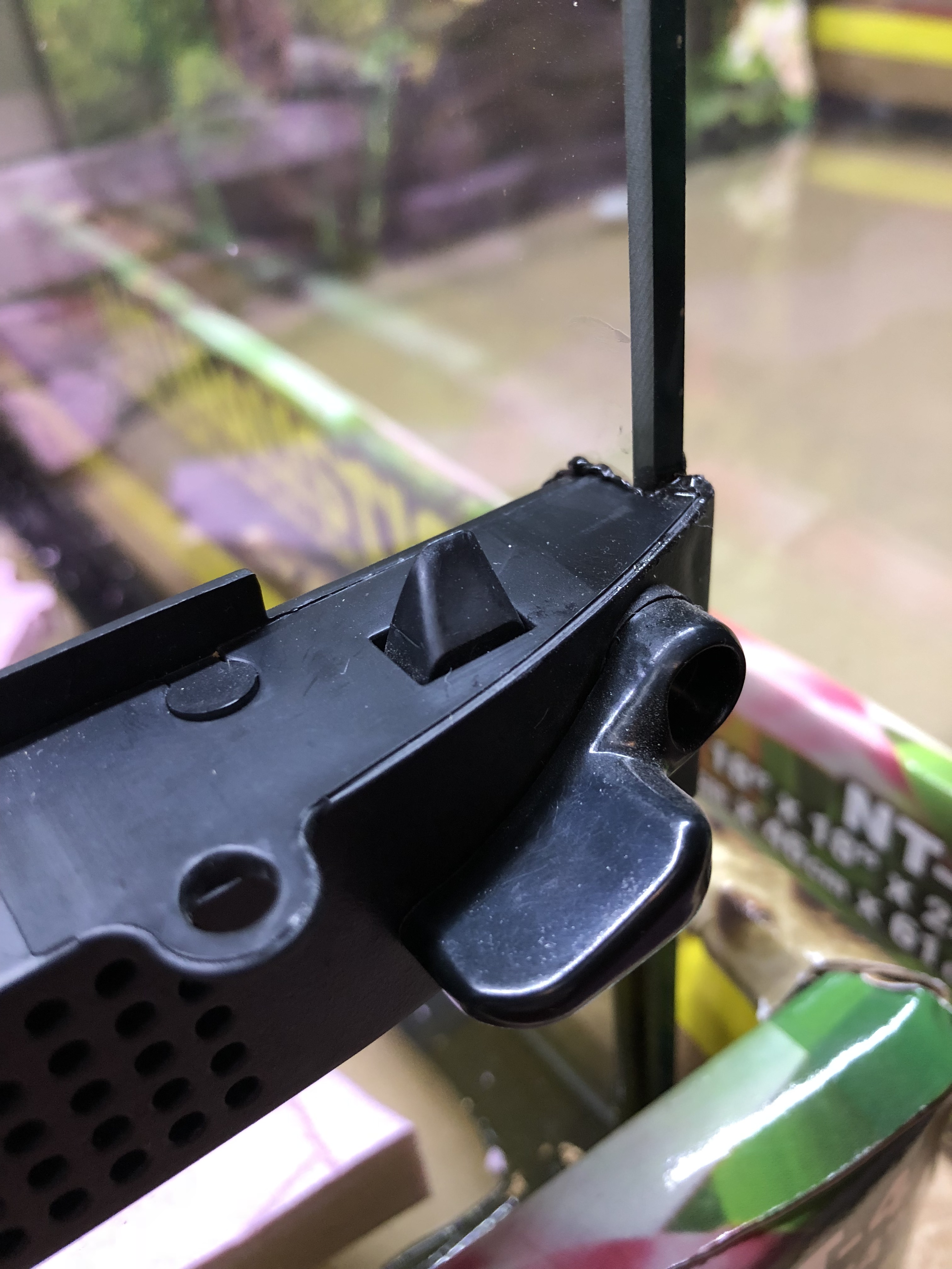 Exo Terra vs Zoo Med The Frog Lady