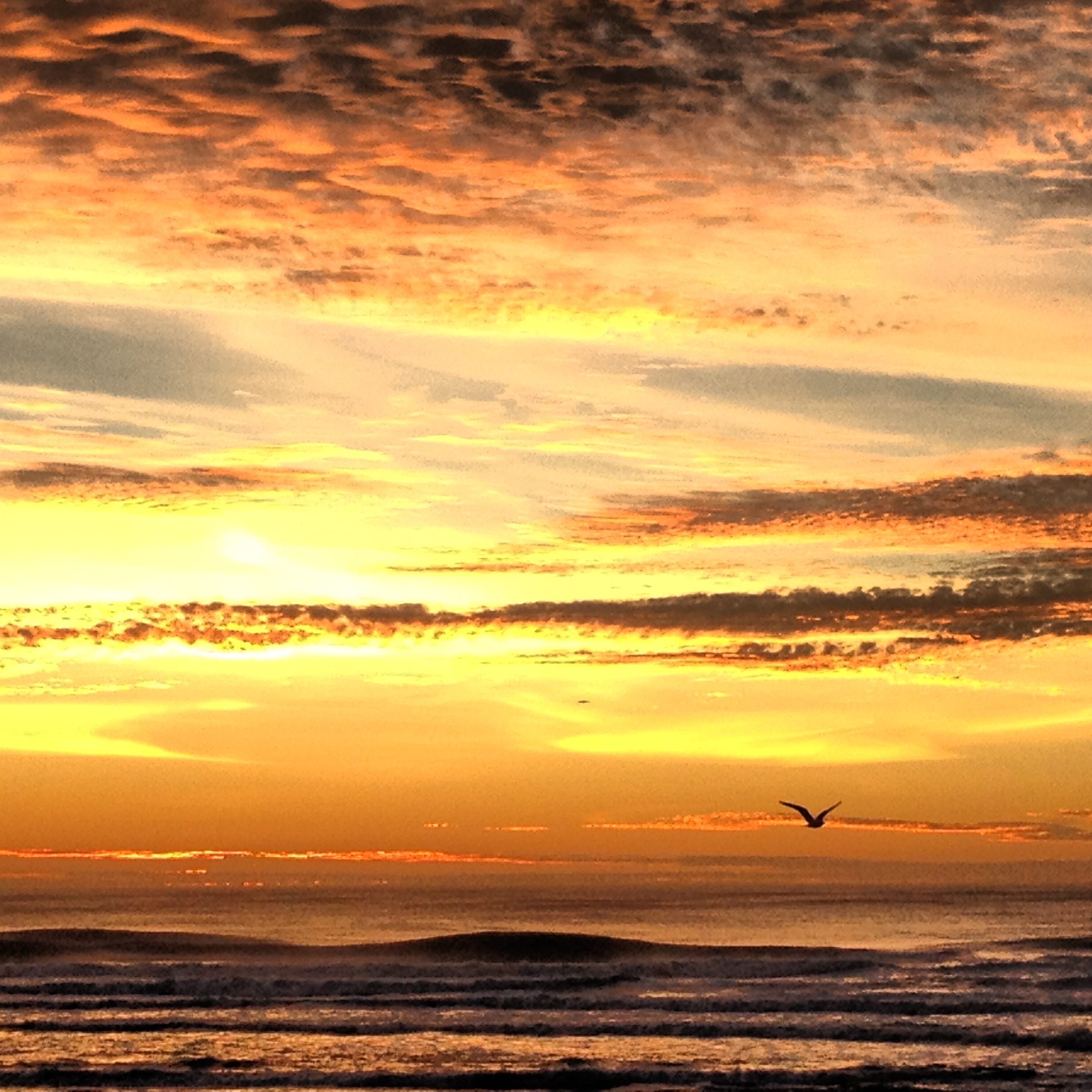 1771 39th Ave Sold Off Market Outer Sunset 1,650,000 the Front