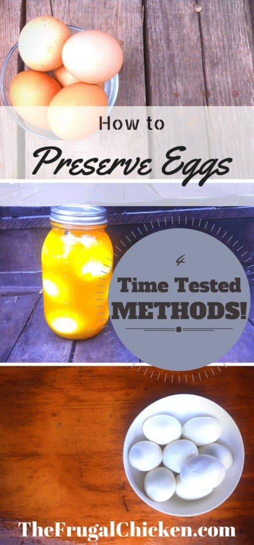 4 Time Tested Techniques To Preserve Eggs (And Some 19th Century Methods!)