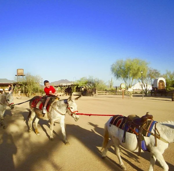 75 Things to do in Phoenix Arizona! {What to Know BEFORE You Go}