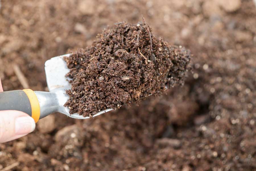 The Best DIY Citrus Potting Mix Recipe (Plus 5 Brands to Try) The