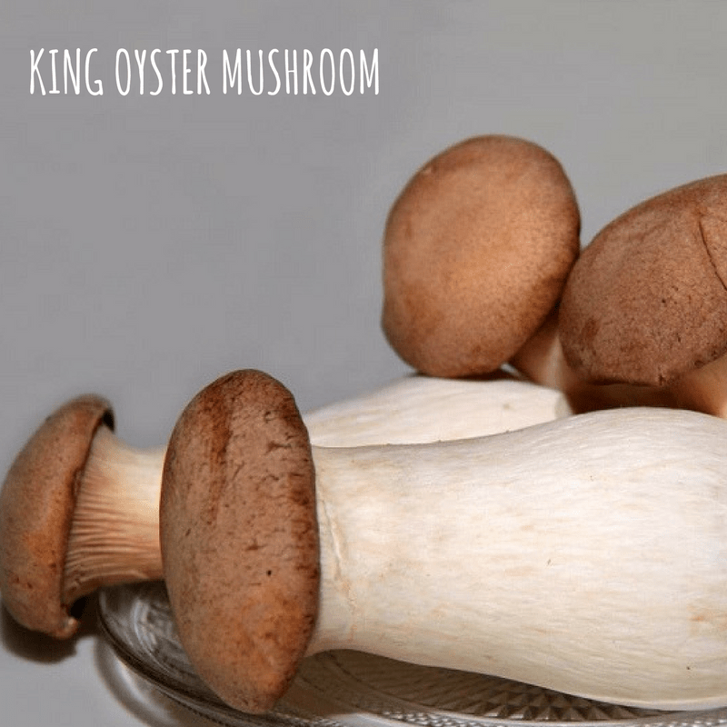 KING OYSTER MUSHROOM TheFuddhist
