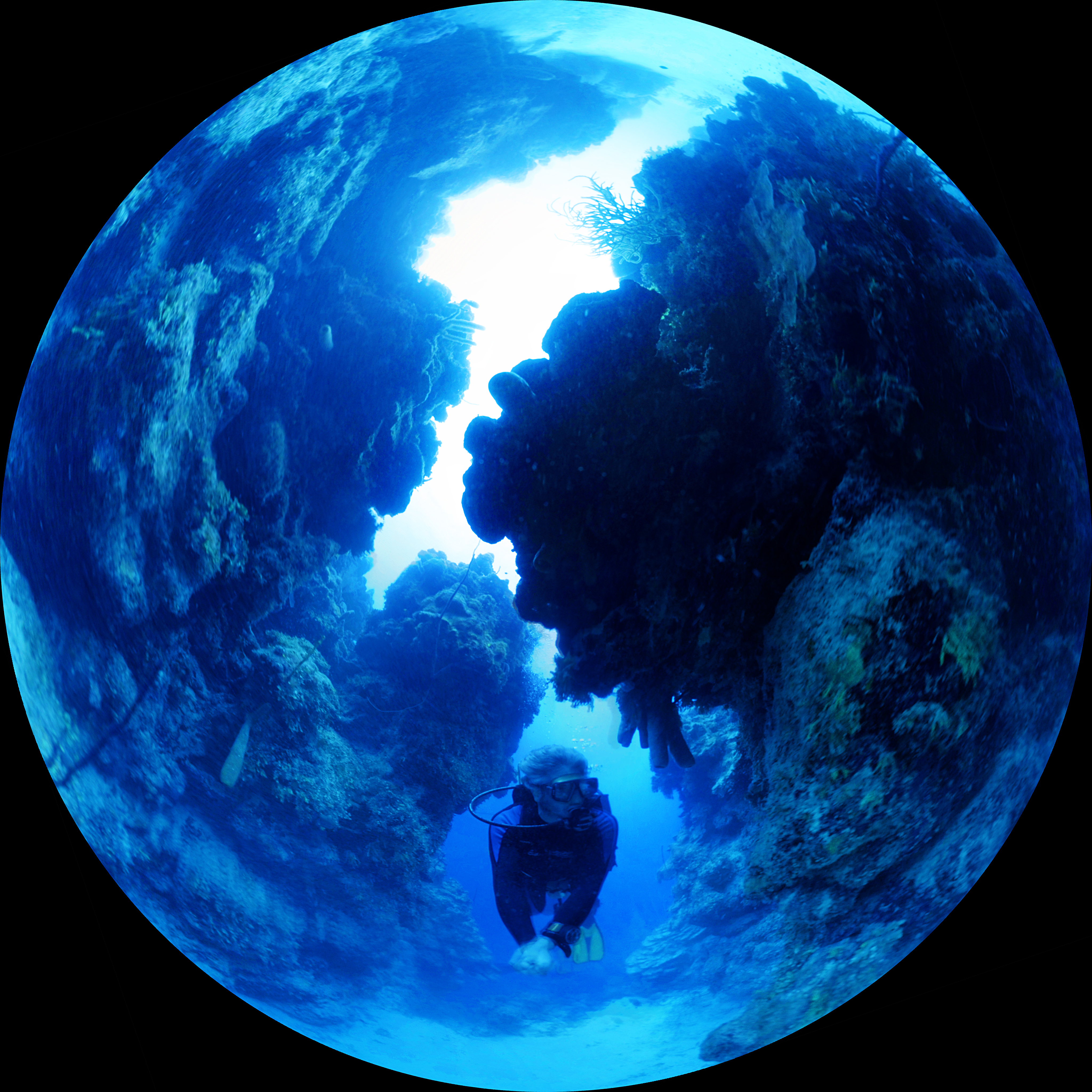 thereefsofbelize_003217