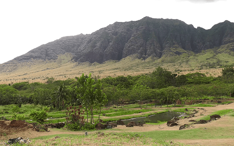 Routed Through Water Decolonial Ecologies on The Wai’anae Coast of Hawai’i THE FUNAMBULIST