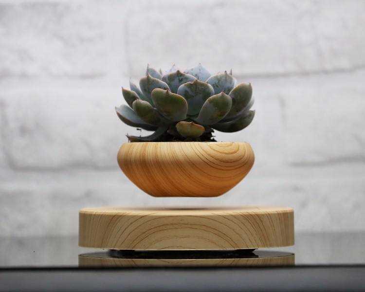 This Levitating Plant Pot Is A Marvel to Look At