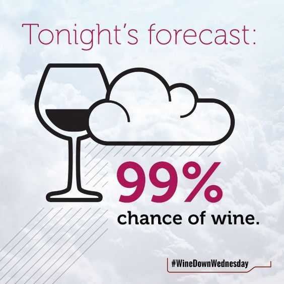 30 MustRead Funny Quotes for Wine Time The Funny Beaver