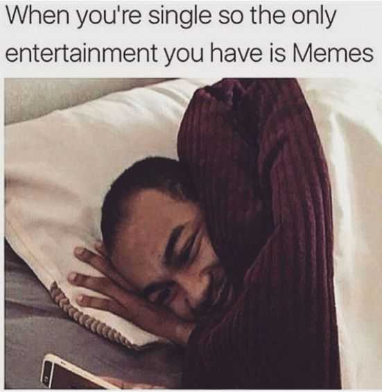 71 Hilarious Memes about the Single Life