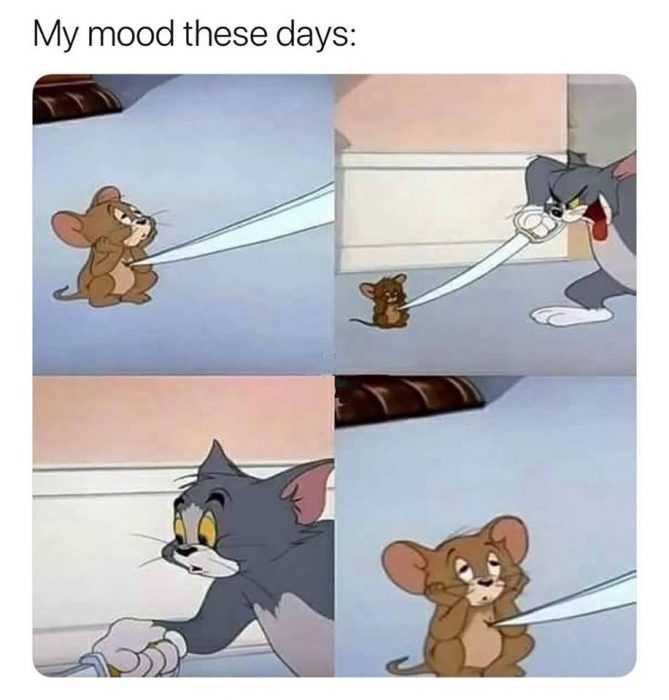 32 Hilarious Memes And Funny Pictures