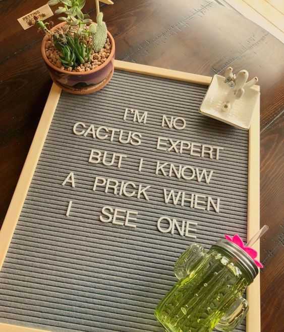 33 Letter Board Quotes So Funny You'll ROFL