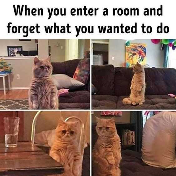 24 More Silly And Hilarious Memes