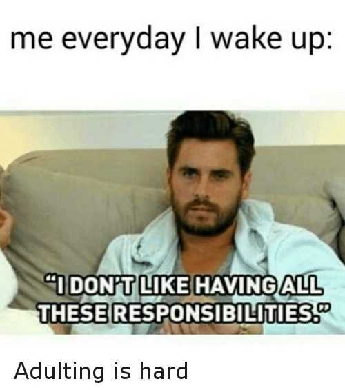 20 Adulting Memes Because Who Let Us Adult