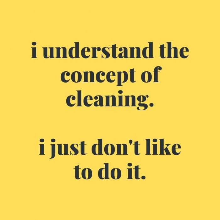 13 Funny Quotes For Spring Cleaning The Funny Beaver