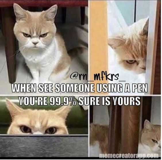 30 Memes for the Stationery Addict The Funny Beaver