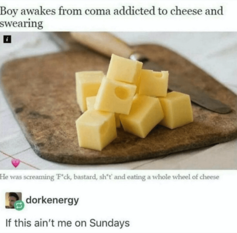 24 Funny Cheese Memes That Couldn't Be Any Cheddar