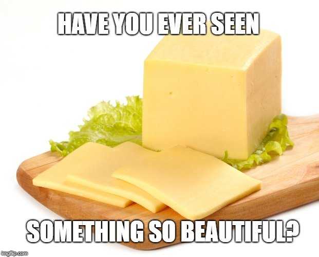 24 Funny Cheese Memes That Couldn't Be Any Cheddar