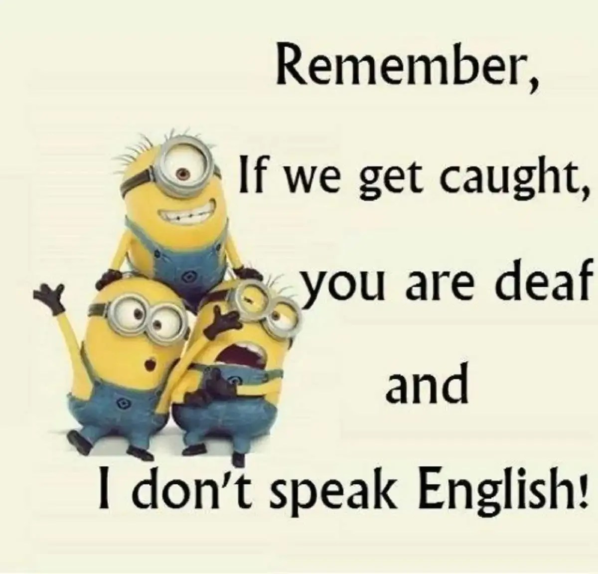minions images with quotes Funny Minion Quotes Of The Week