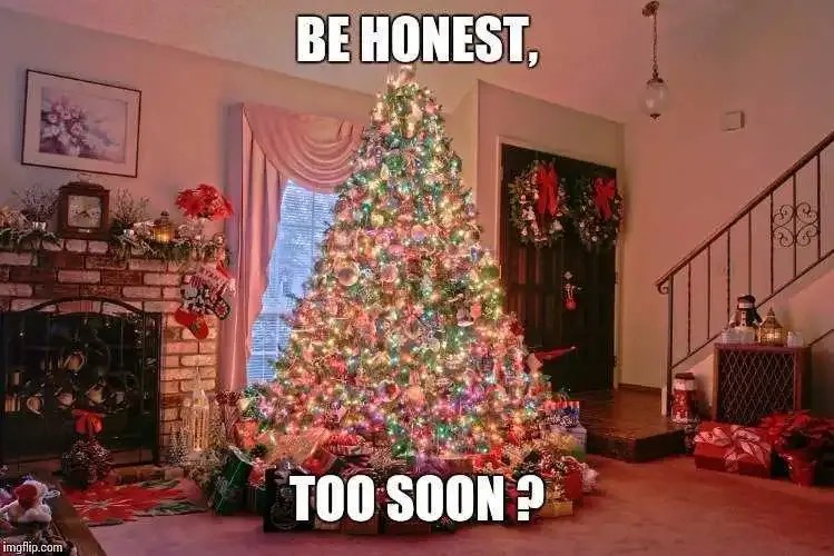 33 Too Early For Christmas Meme Because It's Just Too Soon