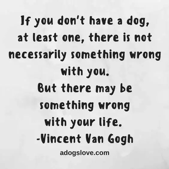 23 Amazing Animal Lover Quotes For Dog And Animal Lovers