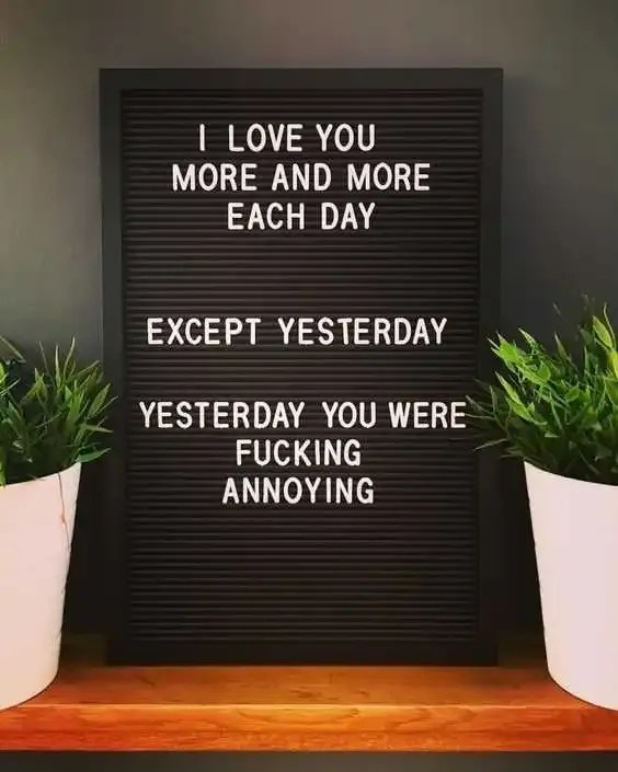 33 Letter Board Quotes So Funny You'll ROFL
