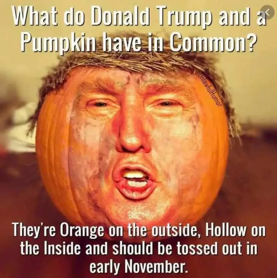 20 Halloween 2020 Costumes And Halloween 2020 Memes You'll Love