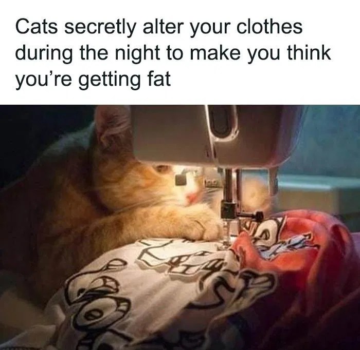 30 Funny Yet Memes To Make You Laugh(03)