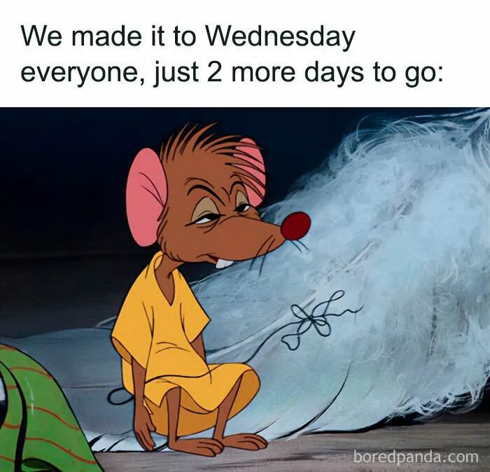 30 Hilarious Wednesday Memes