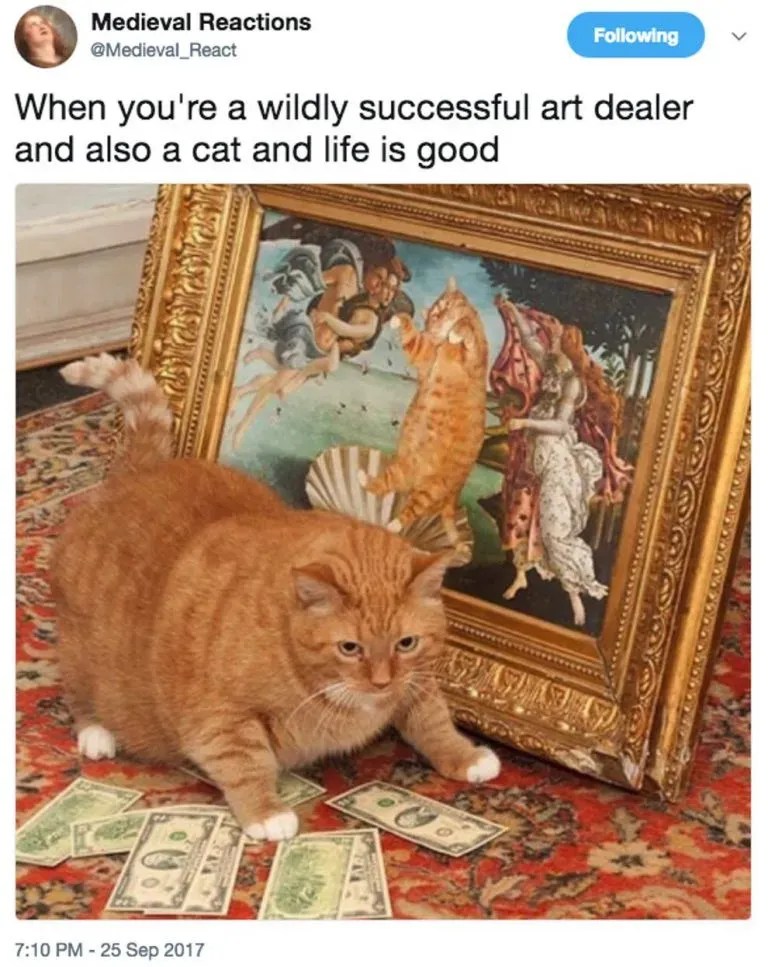 20 Hilarious Pet Memes For Animal Lovers